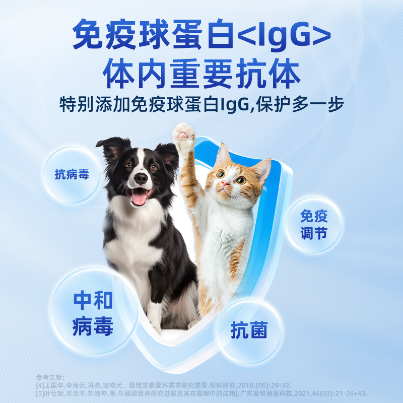 宠物犬家庭饲养准备